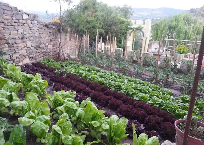 Casa rural Bodegas De Claveria
